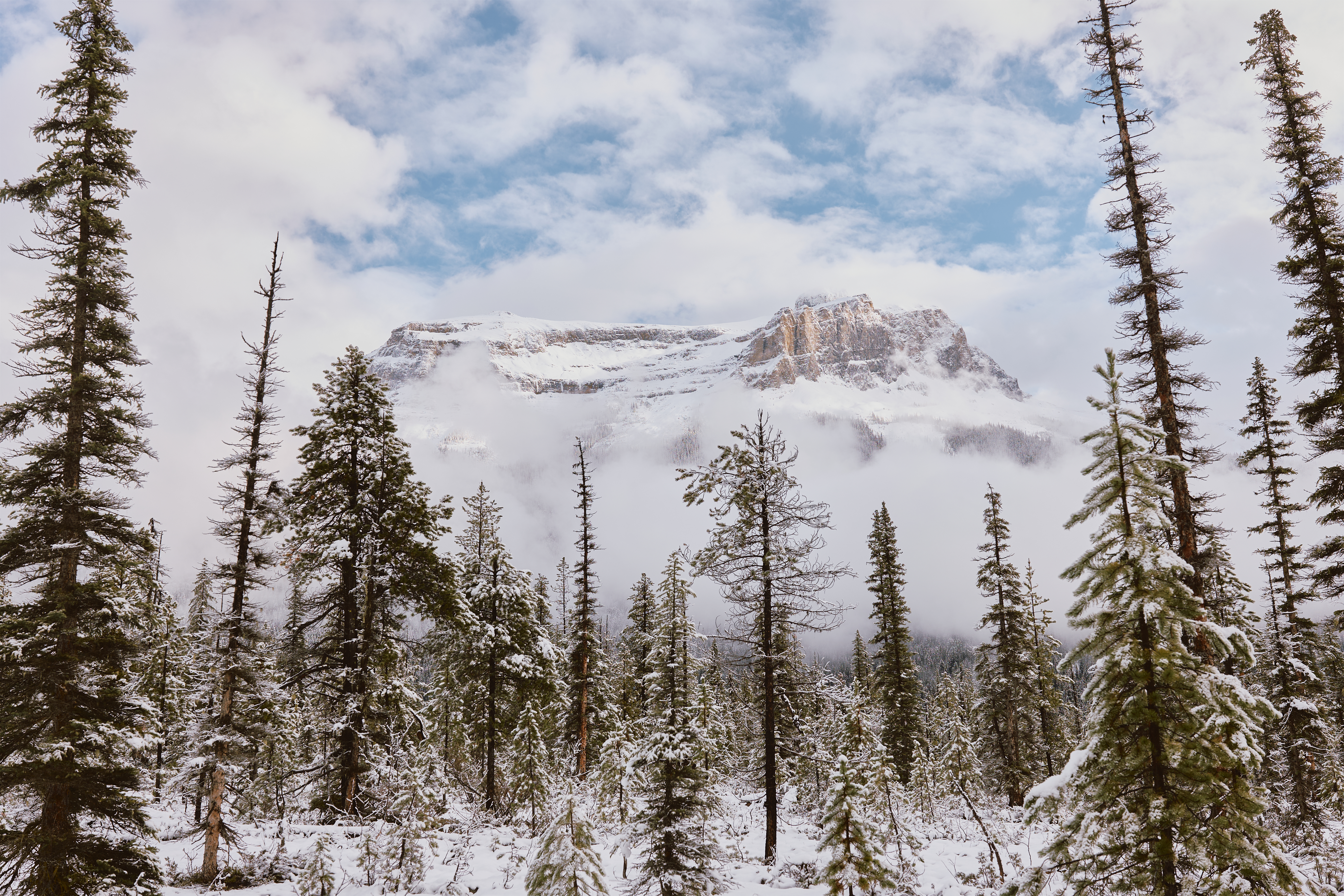 Emerald Lake 2